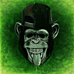 开云在线登入-DOTA2野区机制改变助推战术创新，dota2最新野路子